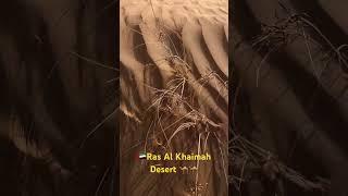 Ras Al Khaimah Desert