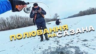 Монстр на гачку‼️ Ловля сазана на боковий кивок