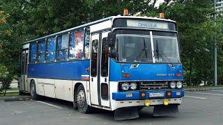 Поездка на раритетном служебном автобусе Ikarus 263.10 №Н783ЕО799 №ТЦ Ривьера-Университетский просп.