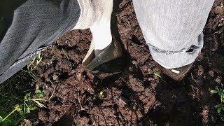 Rubber boots stuck in peat bog (in deep mud) (Part 1)