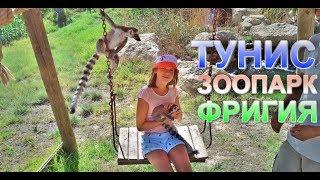 Тунис. Красивый Зоопарк Фригия в Хаммамете! Tunisia. Beautiful ZOO Phrygia