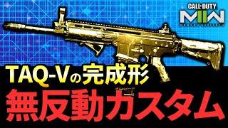 進化した強武器『無反動TAQ-V(スカー)』カスタムがマジで最強なんだが...【CoD:MW2】