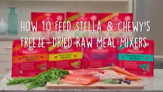 How to Feed Stella & Chewy's Meal Mixers Dog Food