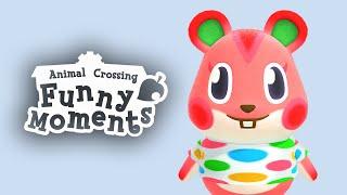 Animal Crossing Funny Moments That Will Make You Laugh - No.21.07