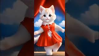 cat dance video #shorts #cat #youtube #akash