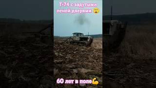 #т74 в поле рулит больше 60-ти лет#трактор#гусеничный#юмз#мтз#хтз#т40#т150#плуг#поле#оранка#нетвойне