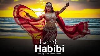 Habibi (حبیبی۔) - Arabic Belly Dance Music - Official AI Video