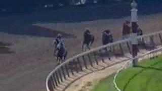 Point Given - 2001 Belmont Stakes