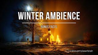  Relaxing Christmas Church, Falling Snow and Chimes Sounds  | 10 Hours | Bonus Facts