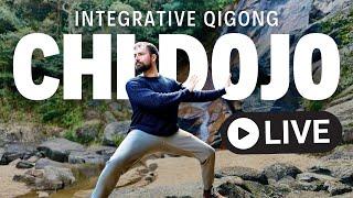 Chi Dojo: Live Qigong Class with Nick Loffree