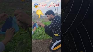 أنقاذ طائر بريء من الموت