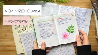 мои черновики | как я веду конспекты?