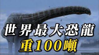 全世界最大的10種巨型恐龍，第九名在6500萬年前被稱爲首席巨龍！第壹名重達100噸，堪稱“死神龍王”！#animals #野生动物 #科普 #野生生物 #野生動物 #动物 #涨知识