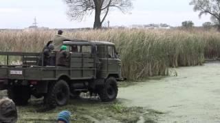 Toyota Bomb,Gaz 66,UAZ,Great Wall колбасимся в болоте off-road 4x4