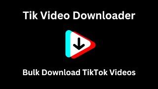 How to Bulk Download TikTok Videos From Any Profile in 2025