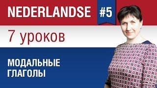 Модальные глаголы в нидерландском языке. Урок 5/7. Голландский язык для начинающих. Елена Шипилова.