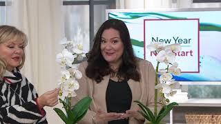 25" Faux Orchid Plant in Mirrored Pot by Valerie on QVC