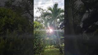 Beautiful sunlight at Hermina Hospital 13th July 2023