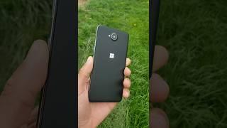 Куда пропал Windows Phone?