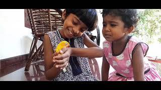 Cheering up an African baby love bird rescued from Snake attack !!!