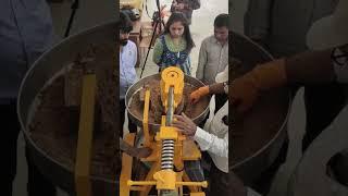 Natural Sesame Oil Making in Lakdi Oil Ghani Machine | 9987703434 | #oilmachine | @nikameng