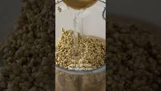 One-Ingredient Buckwheat Bread (gluten-free)