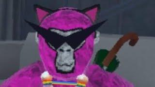 pink beanie VR now