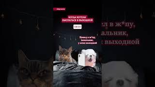 А у вас были выходные, которые пошли не по плану?