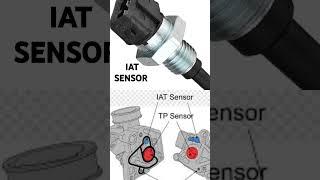 IAT Sensor (intake air temperature sensor). #auto#mechanic#service#sajir bikeguru#wondermechanik