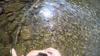 Colorado Fly Fishing Trip 8 22 15