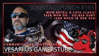 Vesariius Gamerstube - Stream und Youtube Ausblick - Sonntagspunch #165