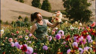 Blooms on the Hill, a Gippsland Flower Farm