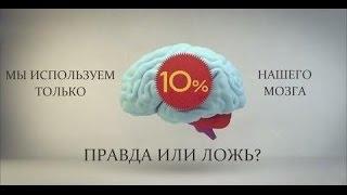 С.В. Савельев: Как заставить работать мозг