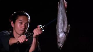 Katana Samurai Sword Test Cutting Fish and Meat