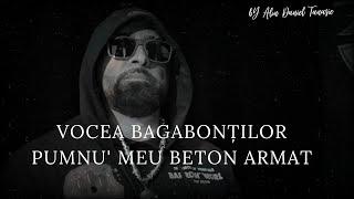 VOCEA BAGABONȚILOR - PUMNU' MEU BETON ARMAT  OFICIAL VIDEO