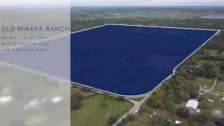 Old Miakka Ranch - 228 ± AC of Prime "Old Florida" Ranch Land - FOR SALE in Sarasota, Florida