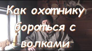 Как охотнику бороться с волками