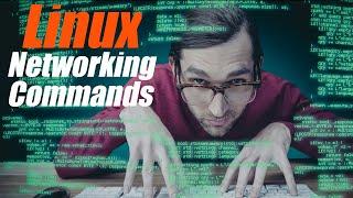 The Top 10 Linux Command Line Tools You Need to Know