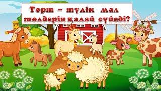 Төрт түлік мал төлдерін қалай сүйеді. Үй жануарлары. Жануарлар дауысы.