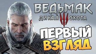 Ведьмак 3: Дикая Охота - Первый Взгляд от Брейна