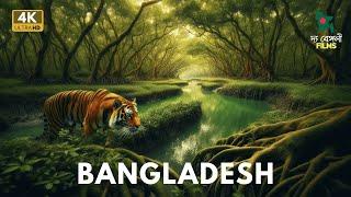 Bangladesh Tour 4K - Natural Beauty of Bengal Relaxation Film - The Bengali