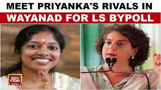 Meet Priyanka's Rivals In Wayanad For LS bypoll; LDF & BJP candidates Ready To Challenge