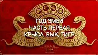 ПРОГНОЗ НА 2025 ГОД ЗЕЛЕНОЙ ДЕРЕВЯННОЙ ЗМЕИ ДЛЯ КРЫСЫ, БЫКА И ТИГРА, часть 1