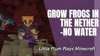 Warm Frog - How to Grow a Warm Frog in the Nether v1.19