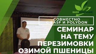 Как выращивать озимую пшеницу с урожайностью более 50 центнеров. Семинар. #басф #полидон