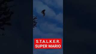 STALKER SUPER MARIO vs ТРАМПЛИН #stalker_rp #stalkeronline #dayz #dayzrp #dayzone #lesnik #лесникtv