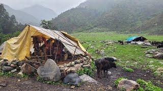 Daily Routine Of Nepali Village Life || Daily Activities Of Shepherd Life || Real Village Life ||