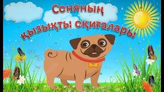 Соняның қызықты оқиғалары Қазақша мультфильм.Қазақша ертегілер.Казакша ертегилер.Казакша мультфильм