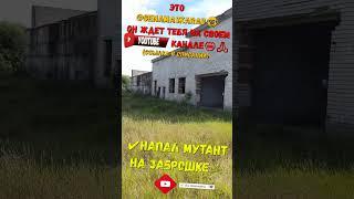 ️НАПАЛ МУТАНТ НА ЗАБРОШКЕ️