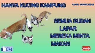 Kucing ku pada lapar semua @hansilmokodongan2018